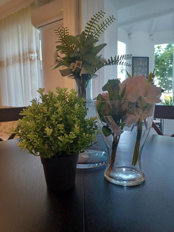 Nuevo Loft El Carpintero Apartment Vejer de la Frontera Ngoại thất bức ảnh