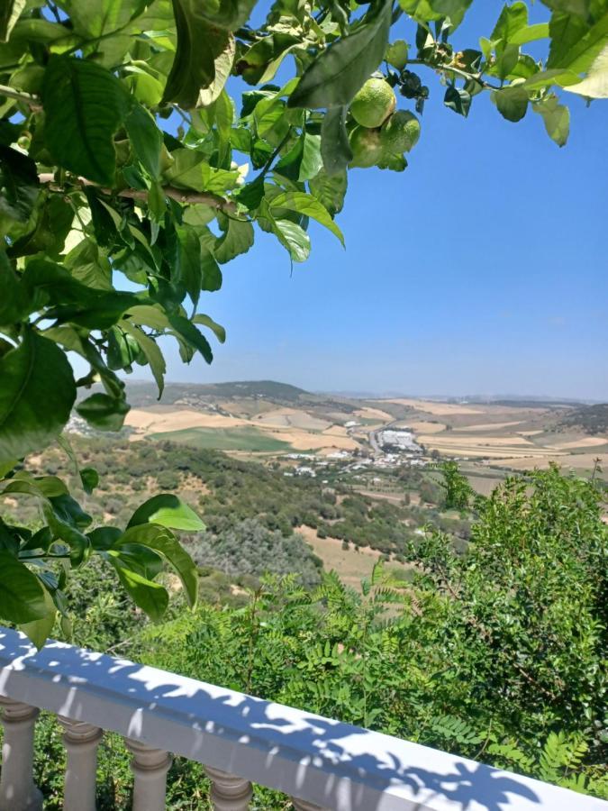 Nuevo Loft El Carpintero Apartment Vejer de la Frontera Ngoại thất bức ảnh